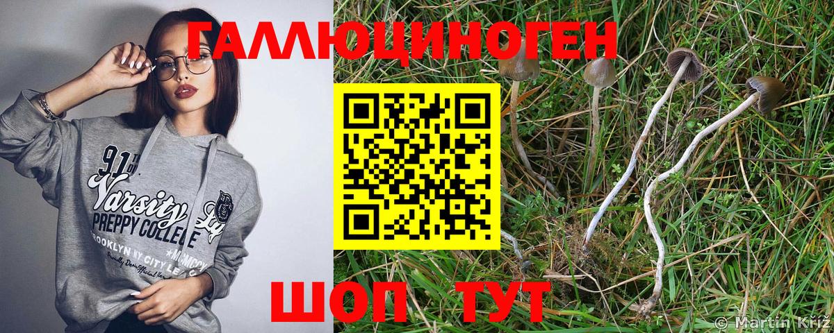 Красный Сулин  Галлюциногенные грибы Psilocybe  Галлюциногенные грибы мицелий  Вход с VPN 